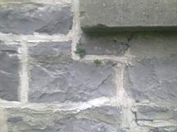 millstreet 10390.jpg